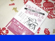 6月7日「原発いらない福島の女たち」のダイ・イン&座り込み・その1