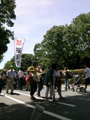17万人が反原発で決起！7月16日東京・代々木公園・その5
